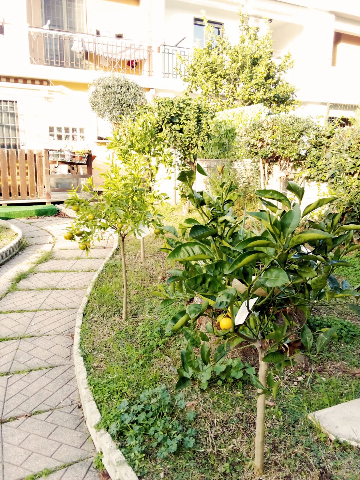 Giardino esterno