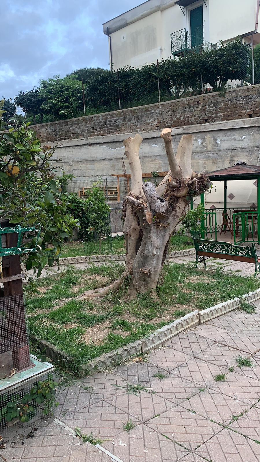 Ambiente con scultura camino